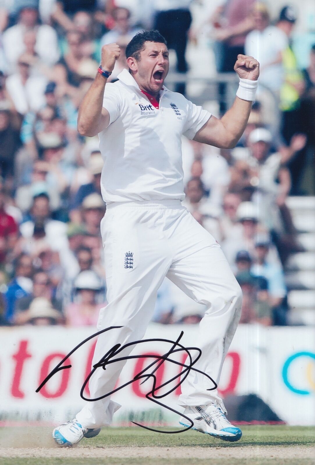 TIM BRESNAN HAND SIGNED 12X8 Photo Poster painting ENGLAND CRICKET.