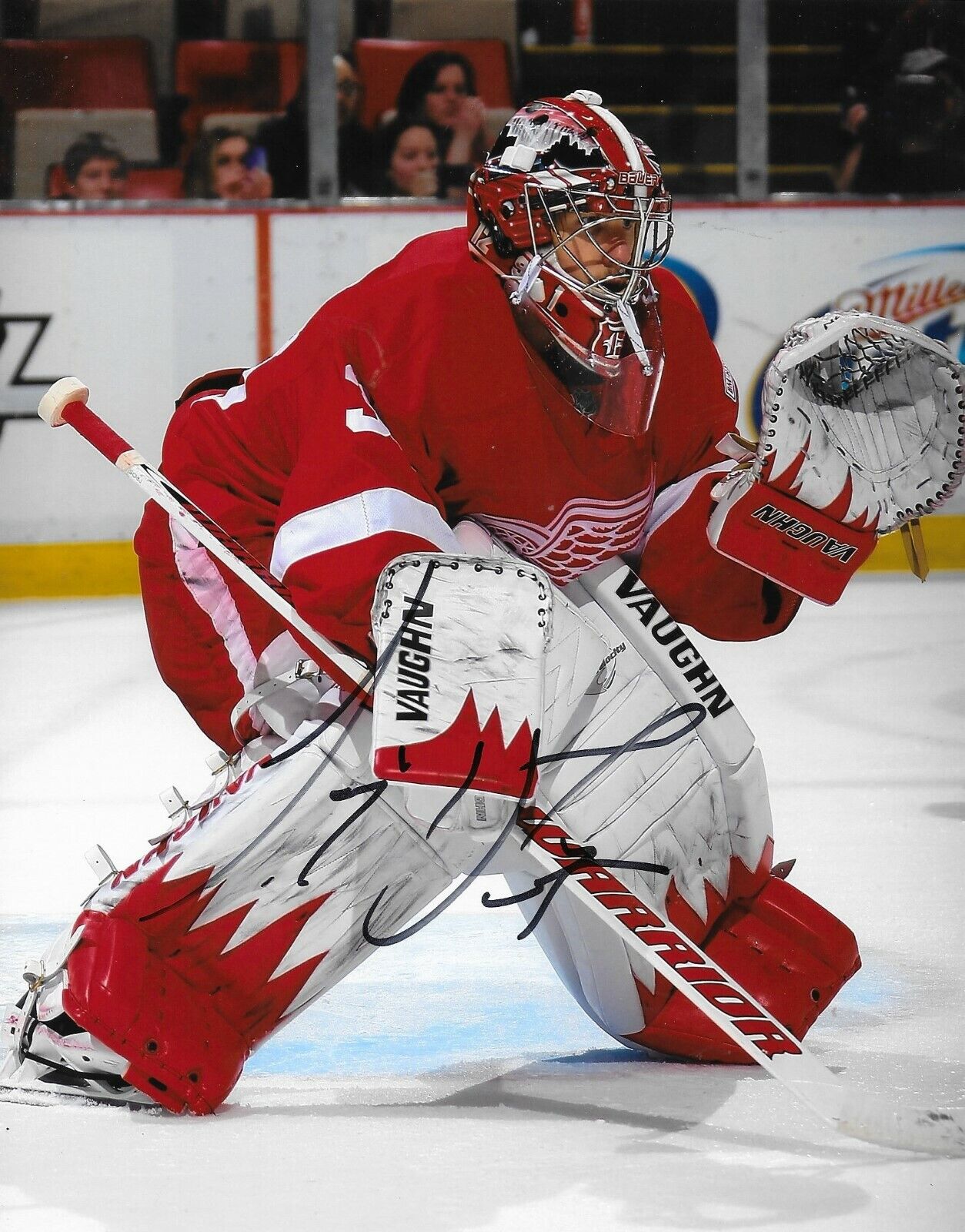 Jimmy Howard signed Detroit Red Wings 8x10 Photo Poster painting autographed 4