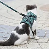 (HOT SALE NOW 49% OFF) - Cat Dogs Vest Harness and Leash Anti-break Away Chest Strap Cat Clothes