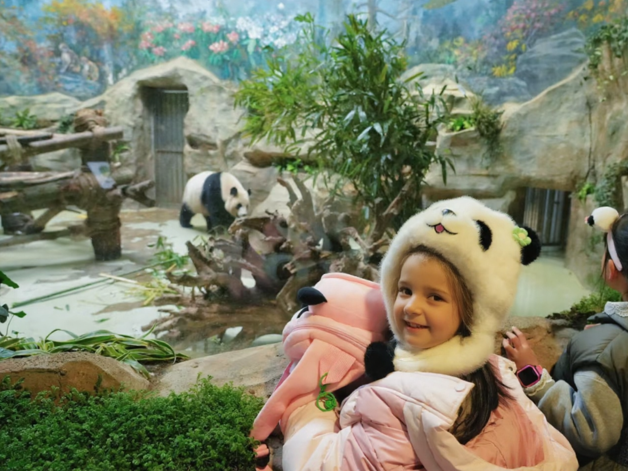 （2–7 pax group）1-Day Panda Park & Dujiangyan Tour-Lunch included
