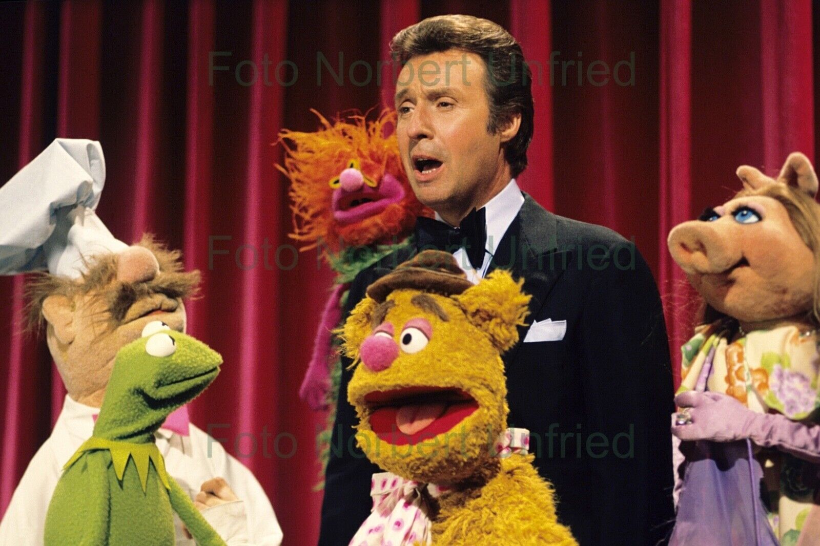 Peter Alexander Show Star Guest Die Muppets Photo Poster painting 20 X 30 CM (Nr 2-46