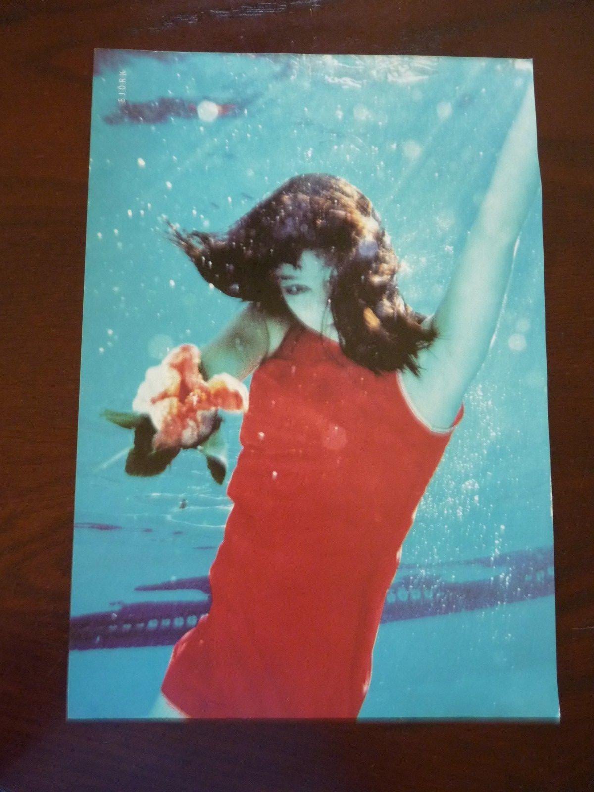 Bjork Single Coffee Table Book Photo Poster painting Page 9x13