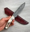 Έ&nu;&alpha; &gamma;&nu;ή&sigma;&iota;&omicron; &mu;&alpha;&chi;&alpha;ί&rho;&iota; Damascus Bowie &mu;&epsilon; &lambda;&alpha;&beta;ή &alpha;&pi;ό &kappa;έ&rho;&alpha;&tau;&omicron; &epsilon;&lambda;&alpha;&phi;&iota;&omicron;ύ &kappa;&alpha;&iota; &sigma;&phi;έ&nu;&delta;&alpha;&mu;&omicron;, 150 &sigma;&tau;&rho;ώ&sigma;&epsilon;&iota;&sigmaf; &sigma;&phi;&upsilon;&rho;&eta;&lambda;ά&tau;&eta;&sigma;&eta;&sigmaf; &kappa;&alpha;&iota; &chi;&epsilon;&iota;&rho;&omicron;&pi;&omicron;ί&eta;&tau;&omicron; &alpha;&pi;ό &sigma;&iota;&delta;&eta;&rho;&omicron;&upsilon;&rho;&gamma;ό.