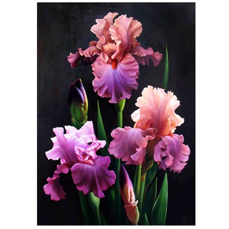 Flower - Round Drill Diamond Painting - 40x30cm(Canvas)