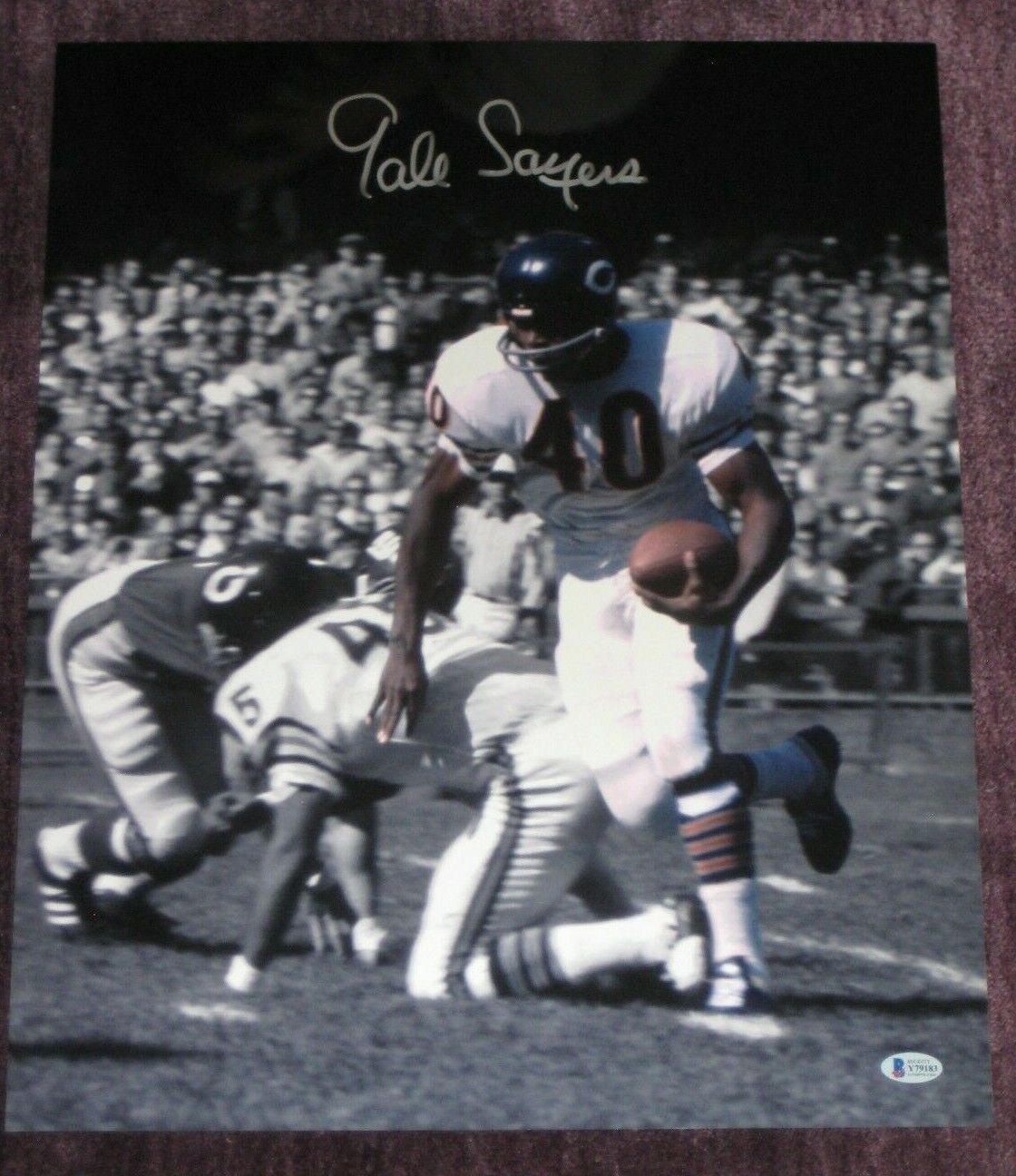 GALE SAYERS Signed Chicago BEARS Spotlight 16x20 Photo Poster painting w/ Beckett COA