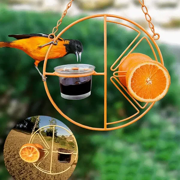 2 In 1 Hummingbird Oriole Feeder