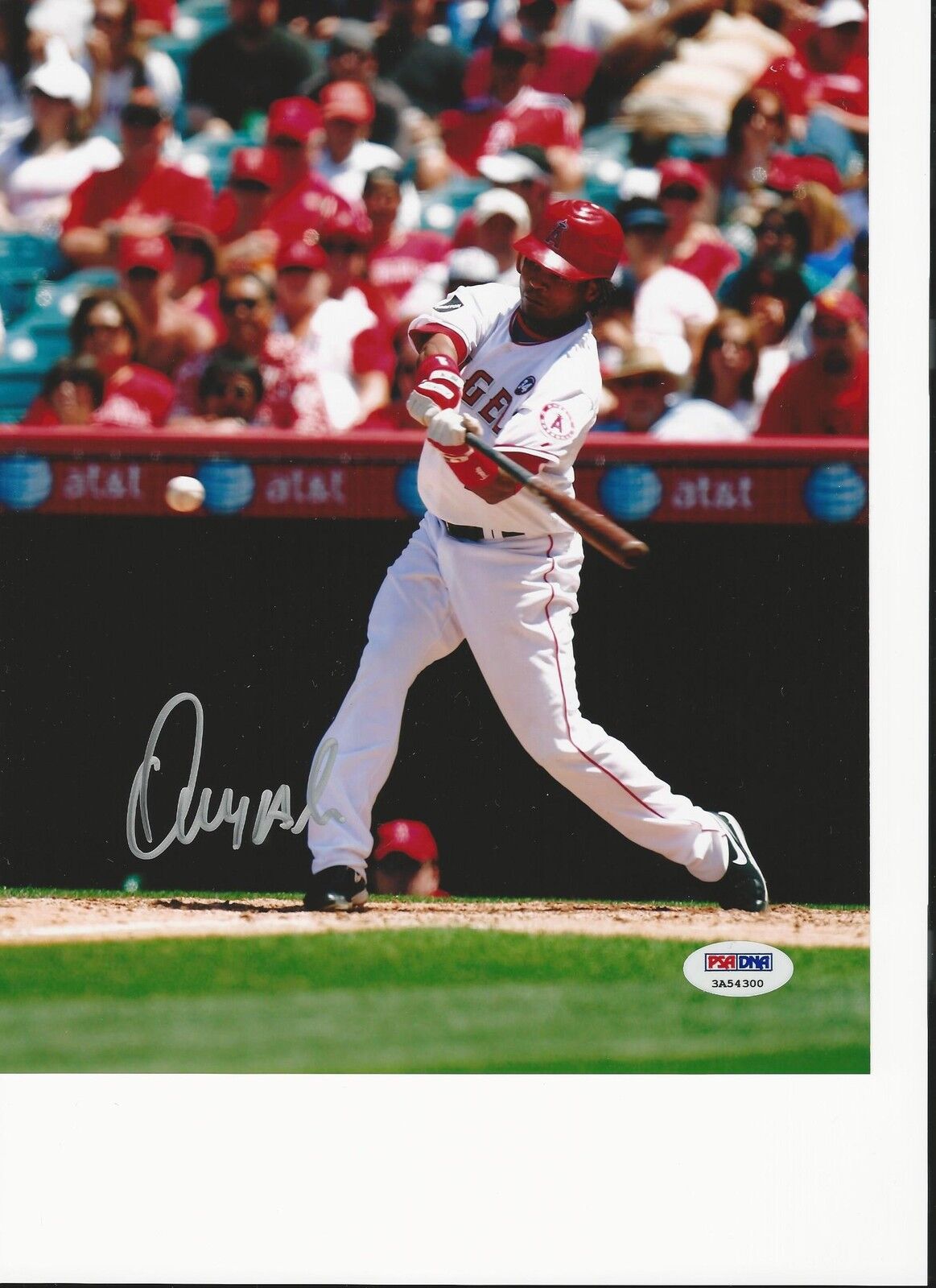 Erick Aybar Signed Los Angeles Angels 8x10 Photo Poster painting PSA/DNA # 3A54300