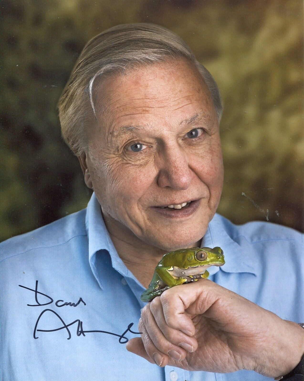 TV Naturalist David Attenborough signed superb 8x10 Photo Poster painting - UACC DEALER