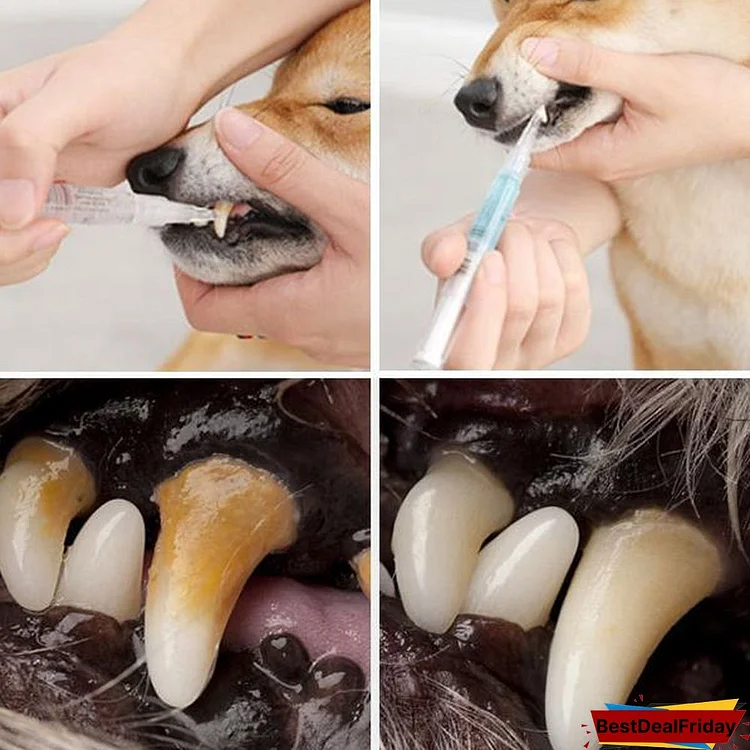 Last Day 50 Off Pets Teeth Health By Repairing And Preventing Disease