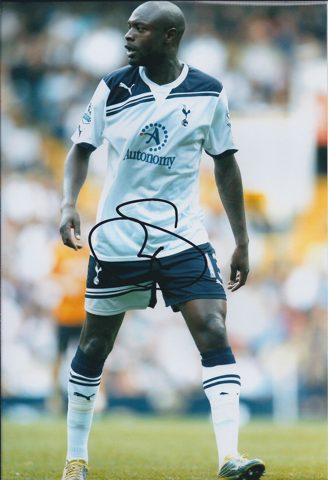 William GALLAS SIGNED Autograph 12x8 COA Photo Poster painting AFTAL Spurs GENUINE Authentic