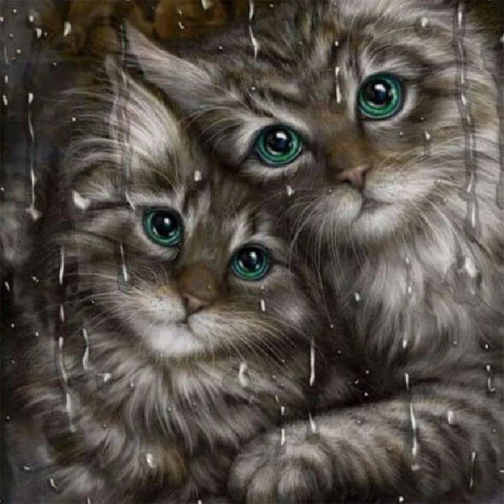 Diamond Painting - Full Round Drill - Rainy Cats(30*30cm)