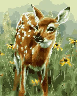 

Adorable Baby Deer – Paint By Numbers - 40*50CM, 501 Original