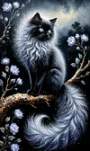 Luxury AB Velvet Diamond Painting Kit - Cat