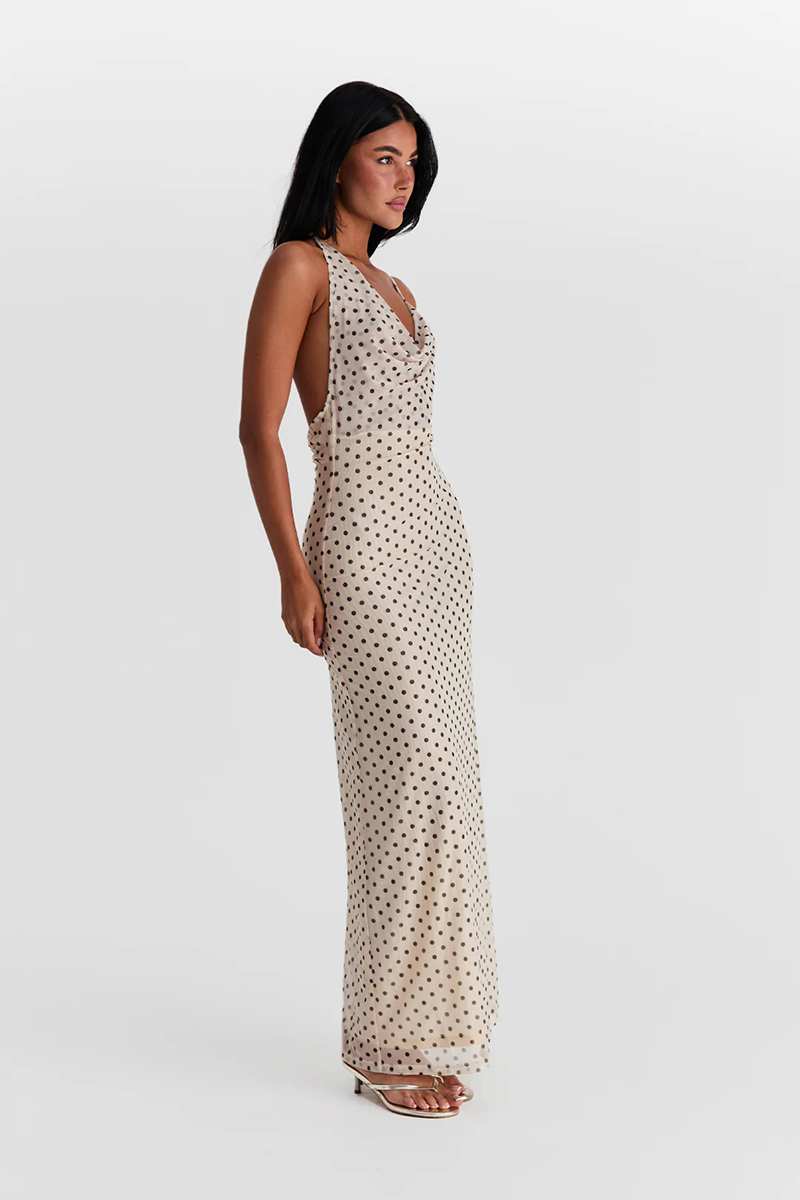 Fiora Maxi Dress Polka Dot (3).jpg