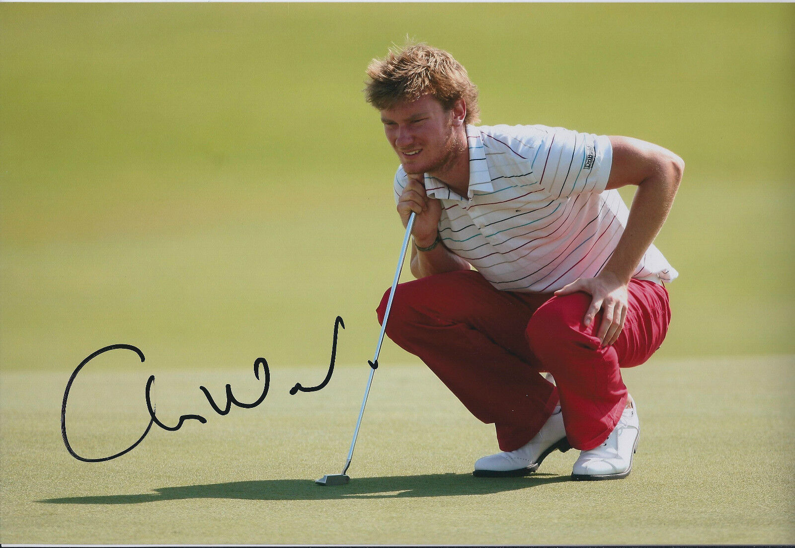 Chris WOOD GENUINE SIGNED AUTOGRAPH British Golfer 12x8 Photo Poster painting AFTAL COA