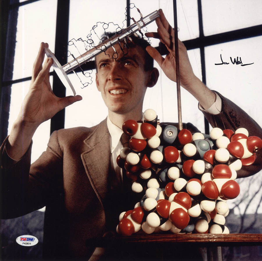 James D. Watson SIGNED 12x12 Photo Poster painting Double Helix FULL LETTER PSA/DNA AUTOGRAPHED