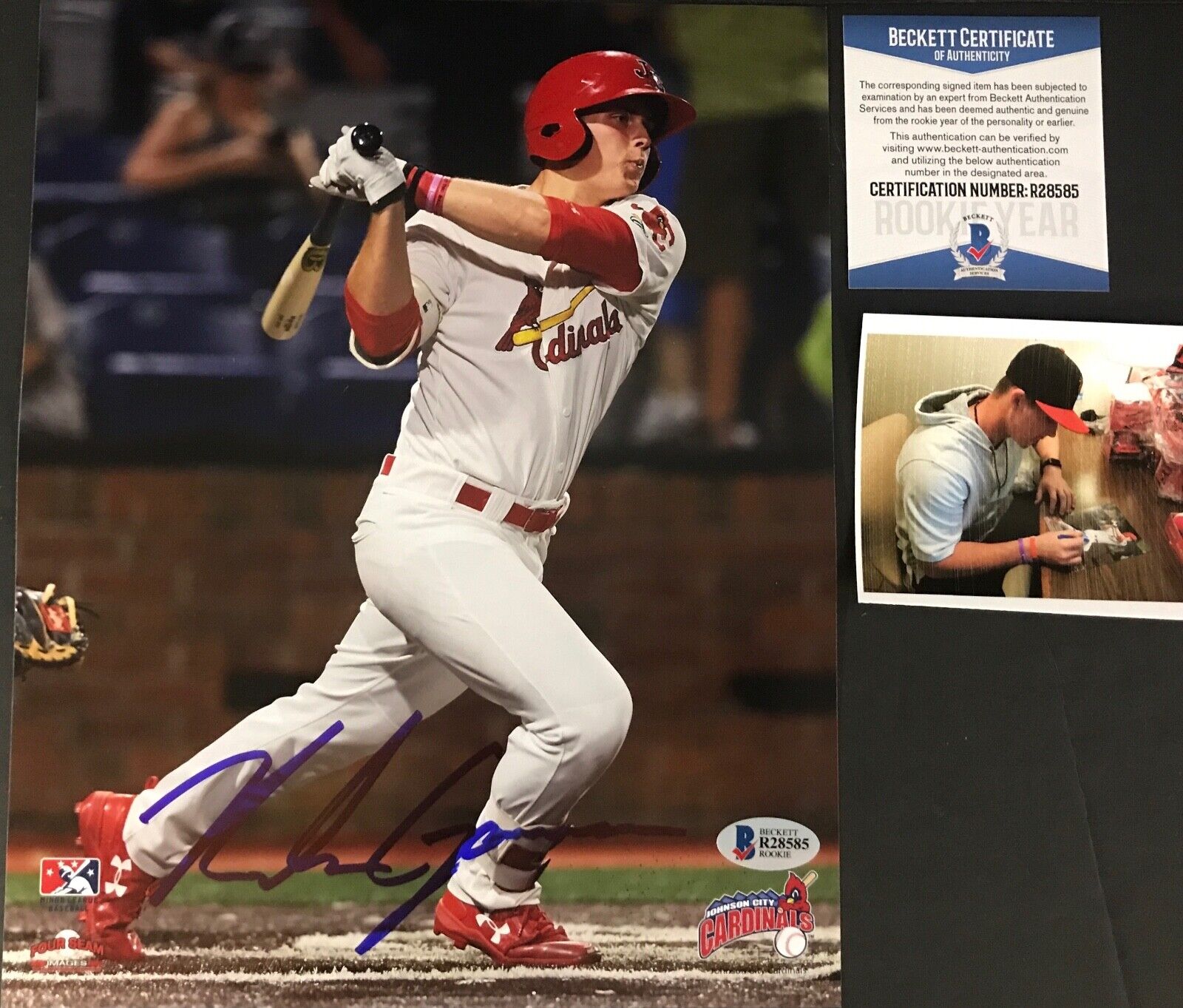 Nolan Gorman St Louis Cardinals Signed 8x10 Photo Poster painting BECKETT ROOKIE COA 3