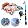 Fishing Pole Set Full Kits Spinning Fishing Rod and Reel Combo for Fishing(Blue)