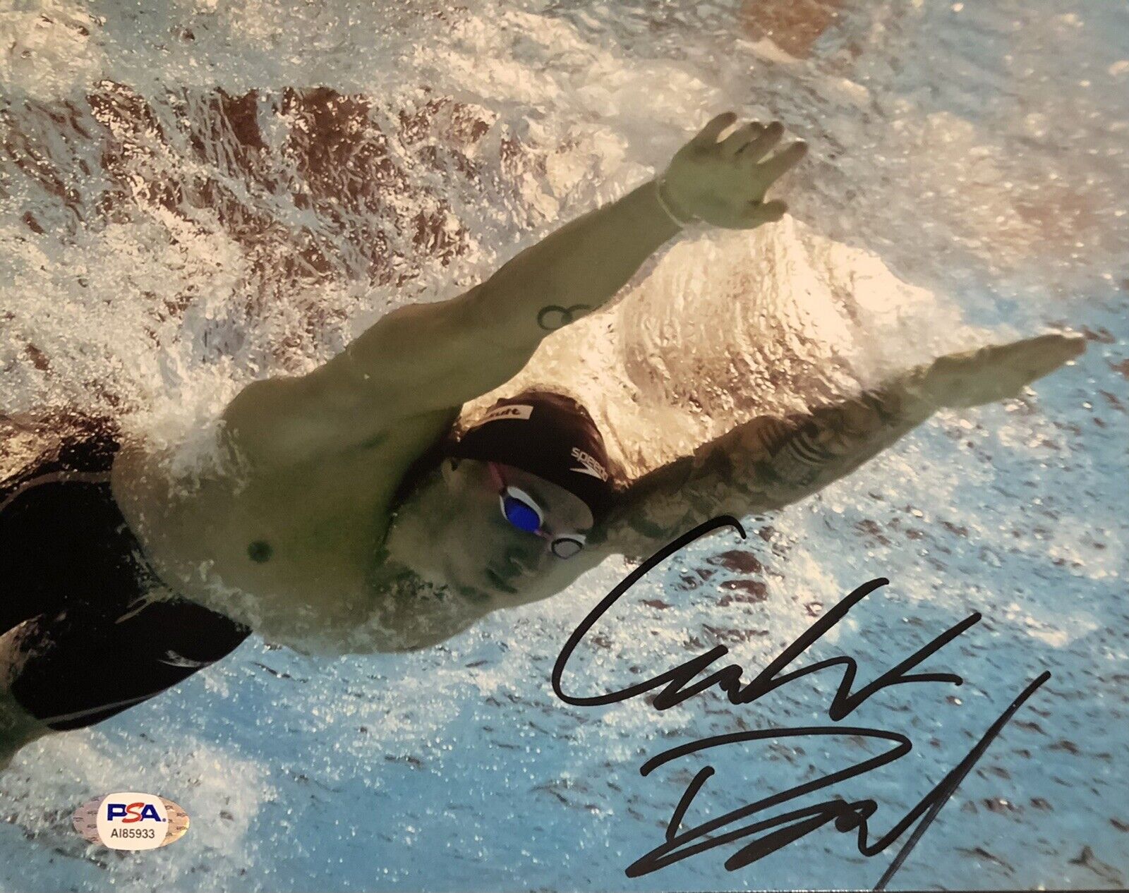 Caeleb Dressel Signed Autographed Olympic Gold Swimming 8x10 Photo Poster painting PSA/DNA