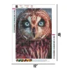 Owl  | Full Round Diamond Painting Kits