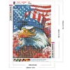 Diamond Painting-DIY Full Round Drill Eagle and Flag