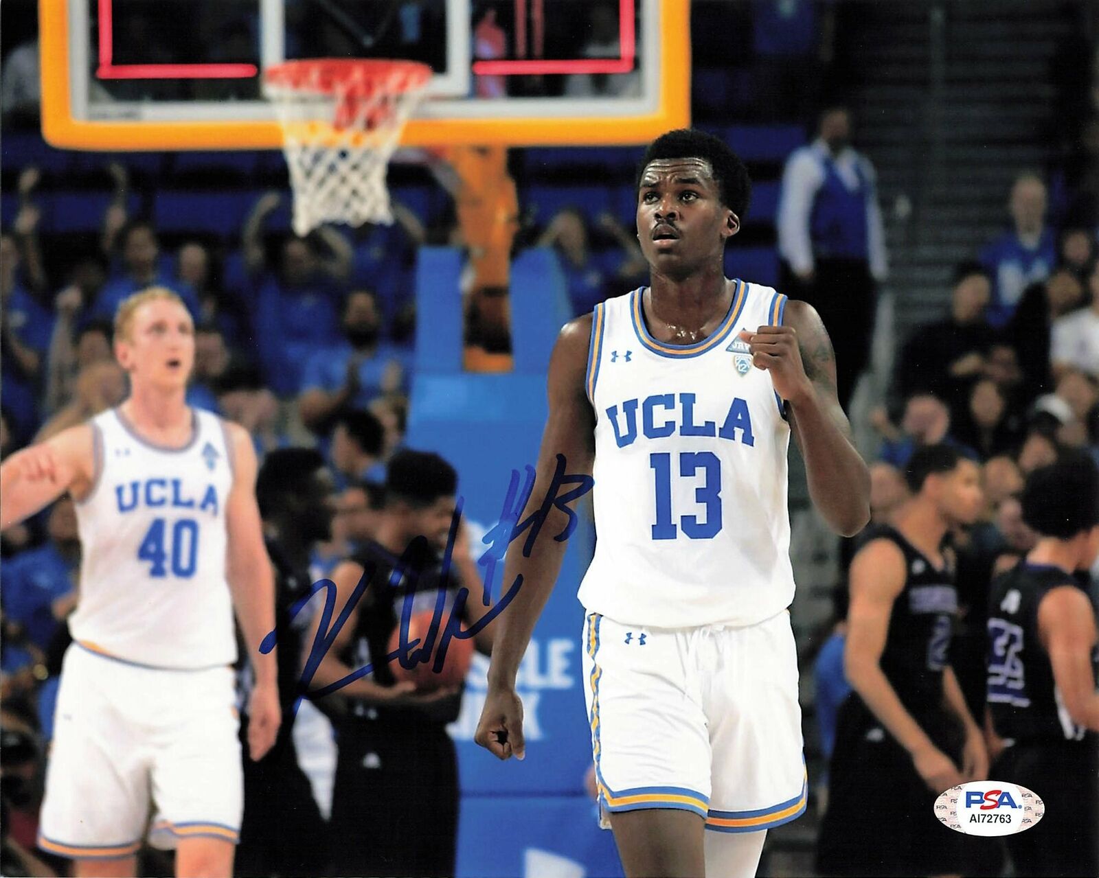 KRIS WILKES signed 8x10 Photo Poster painting PSA/DNA UCLA Bruins Autographed