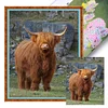 Highland Cow-11CT Stamped Cross Stitch 40*50cm