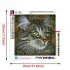 Cat - Full Round Drill Diamond Painting