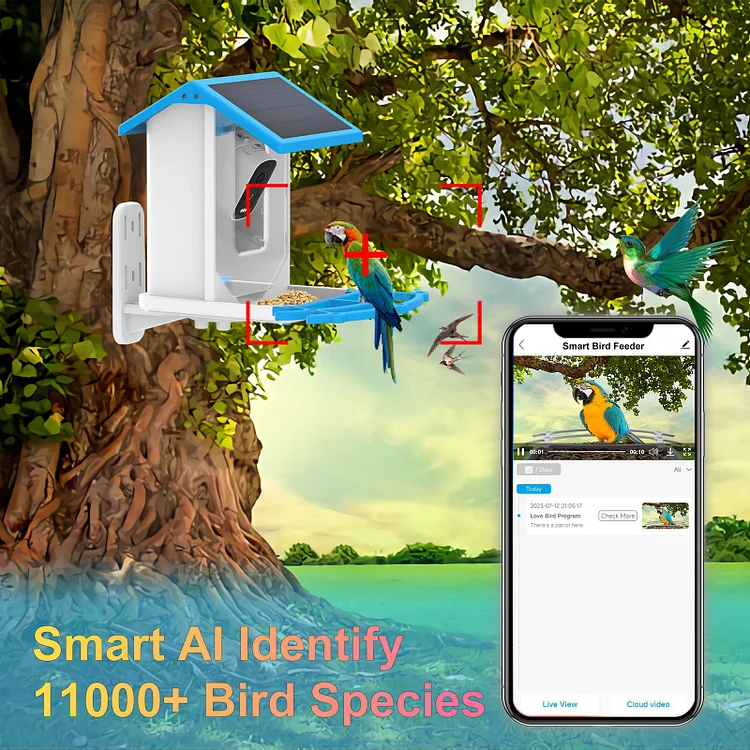 🔥Smart Hummingbird Feeder & Bird Bath