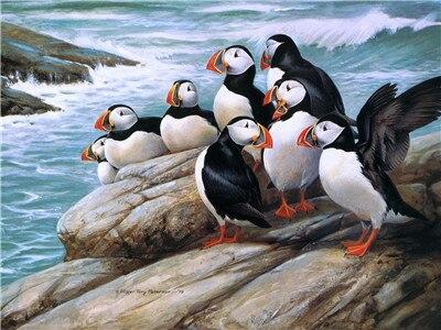 

Puffins on Rock – Paint By Numbers - 40*50CM, 501 Original