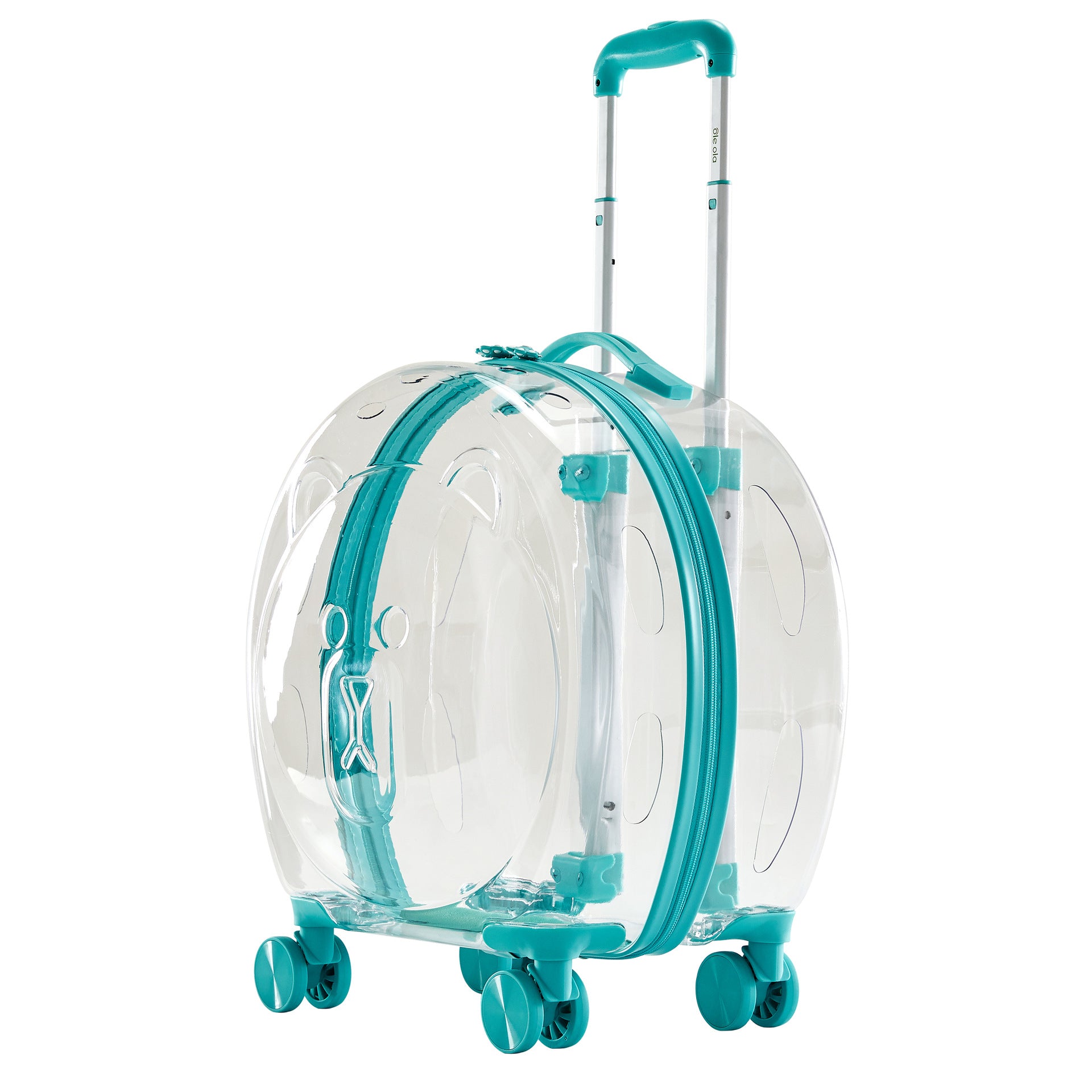 The Classic Taste Original Total Transparent Pet Carrier