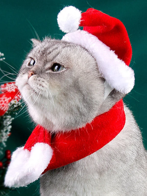 Dog Cat Christmas Hat And Scarf Pet Costume-elleschic