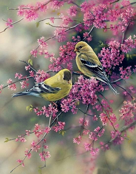 

American Goldfinch – Paint By Numbers - 40*50CM, 501 Original