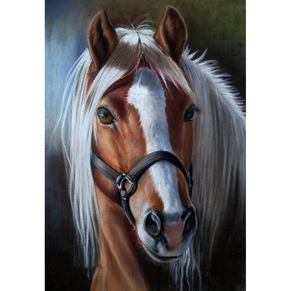 Horse - Square Drill Diamond Painting - 30*40CM tdsilvana.ru.