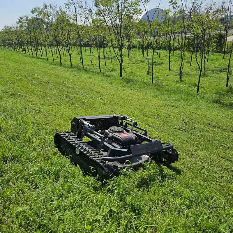 🎯Today's Specials🛠️Mini self-propelled Remote Control Lawn Mower Robot