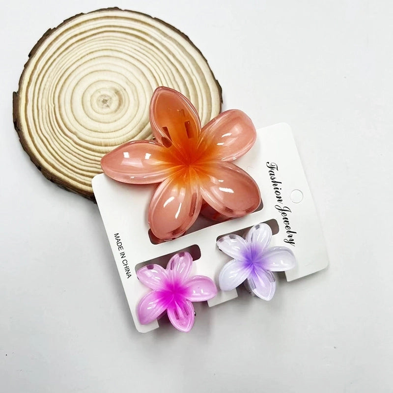 Vacation Modern Style Women’s Flower Resin Hair Claws