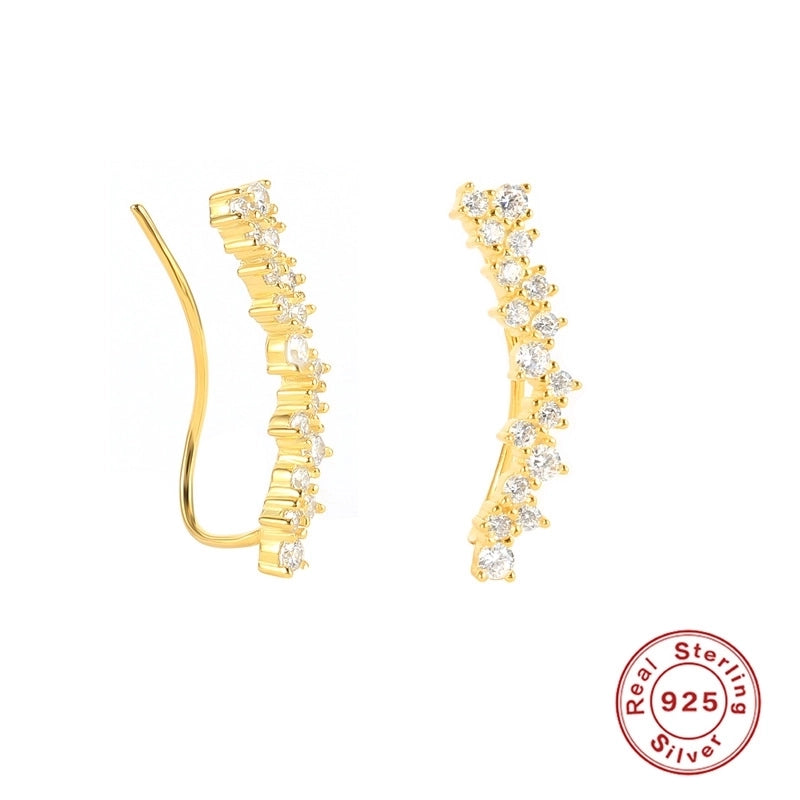 1 Pair 925 Sterling Silver Cartoon Earrings