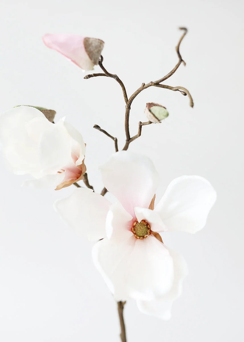 Silk Magnolia Branch in Blush Pink - 19"