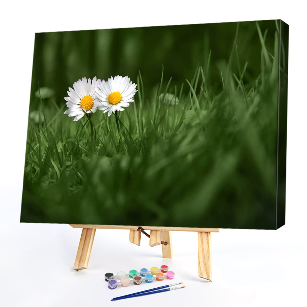 

50*40CM - Paint By Numbers - Meadow Daisy, 501 Original