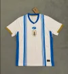 2024-2025 Uruguay National Team Training Wear Football Shirt 