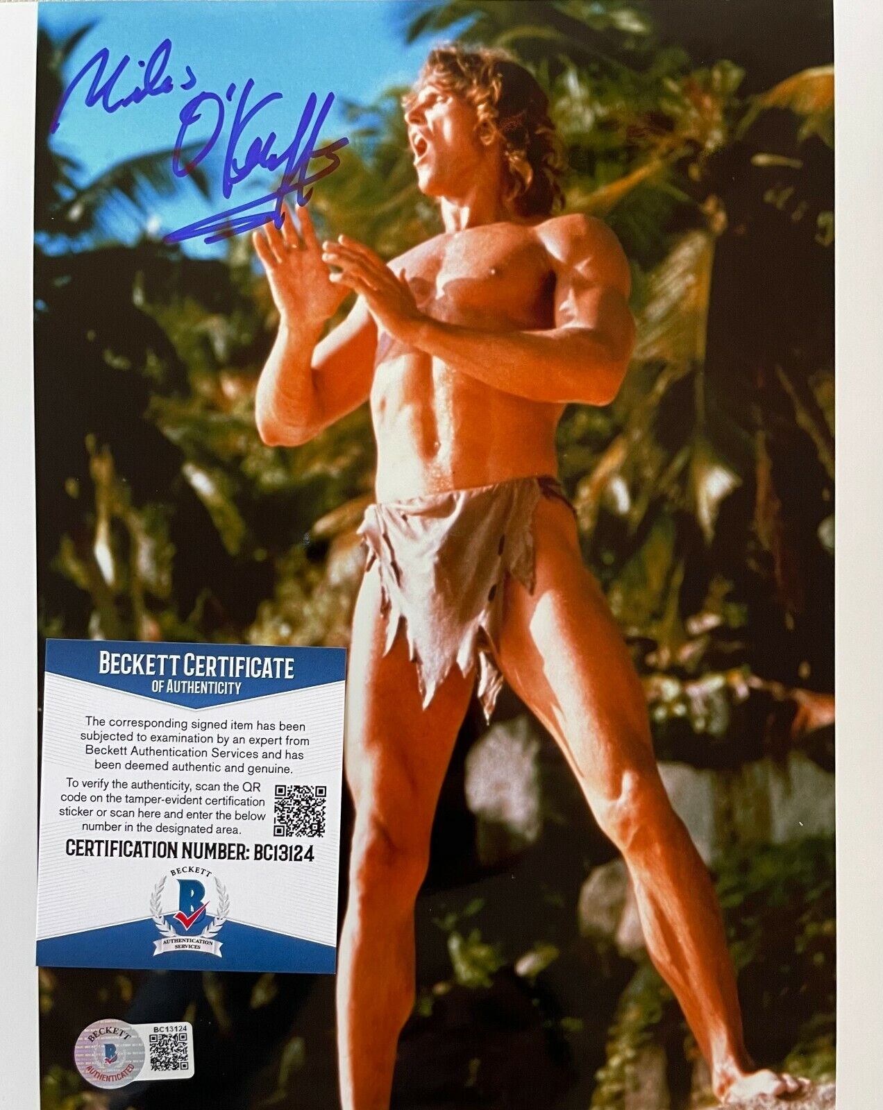 Miles O'Keeffe Tarzan Original 8X10 Autographed Photo Poster painting w/Beckett COA