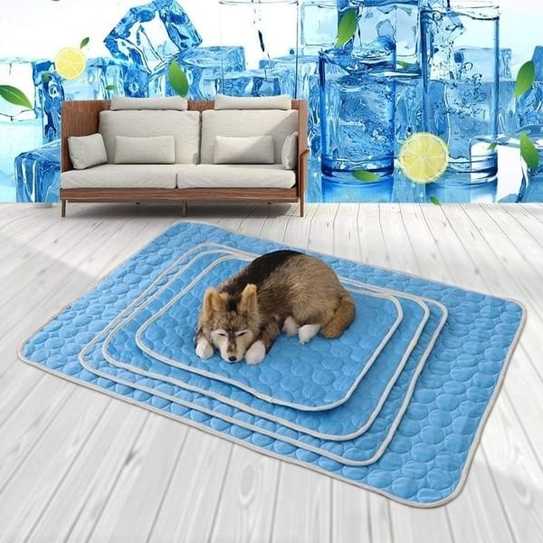 Musedesire™ 💦COOLING SUMMER PAD MAT FOR PET