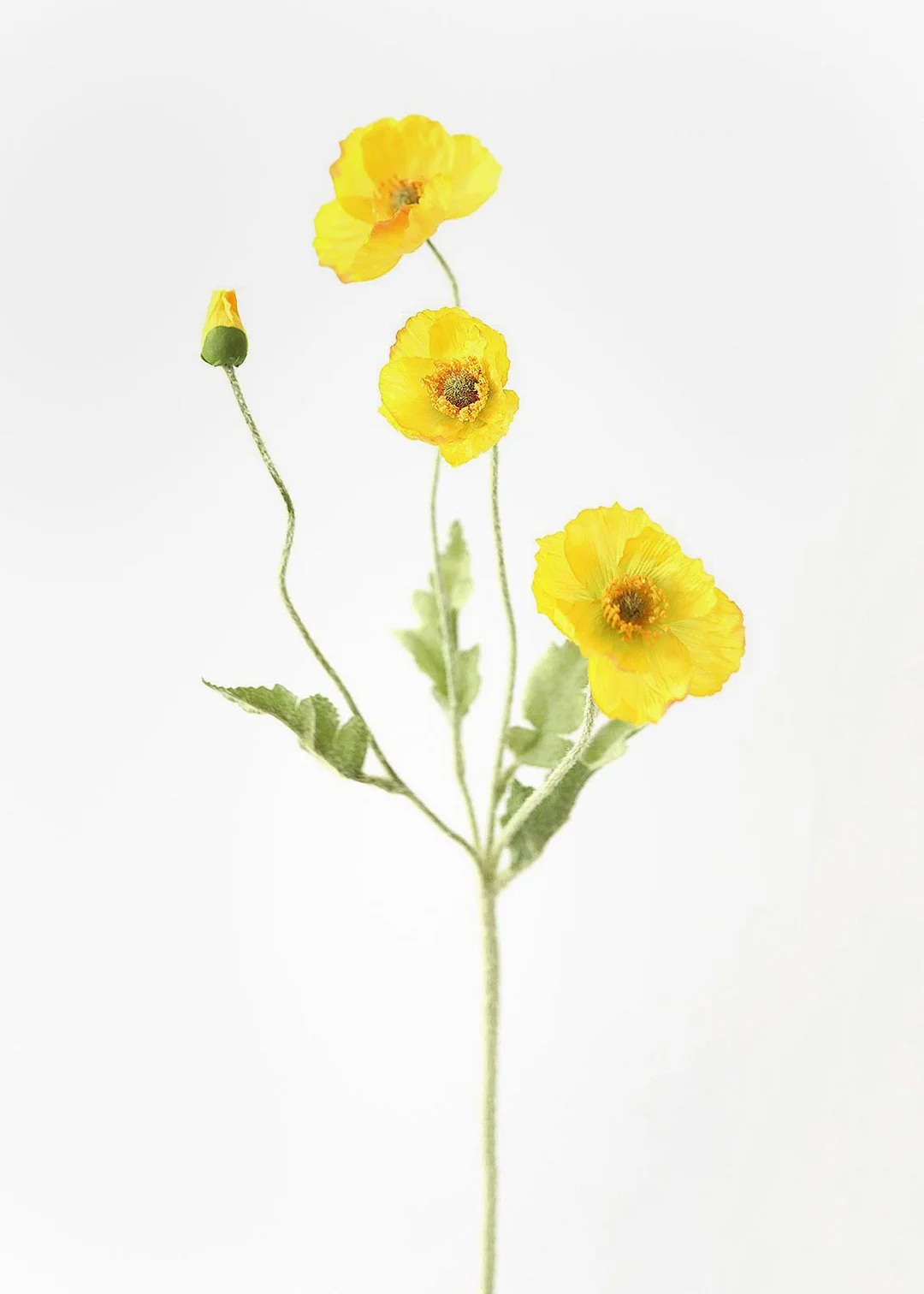 Yellow Fake Poppy Flowers - 23"
