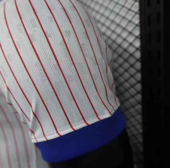 2024 France Away Player Version Men's Football T-Shirt Thai Quality