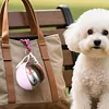 2-In-1 Dog Water Bottle with Silicone Bowl No-Spill Stainless Steel Portable 285ml Dog Water Bottle Ideal for Walking Hiking & Travel