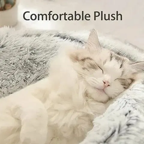  Cozy Pet Bed &ndash; Hot Sales 60%
