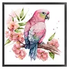 Parrot - 18CT Stamped Cross Stitch 20*20cm/7.87*7.87in