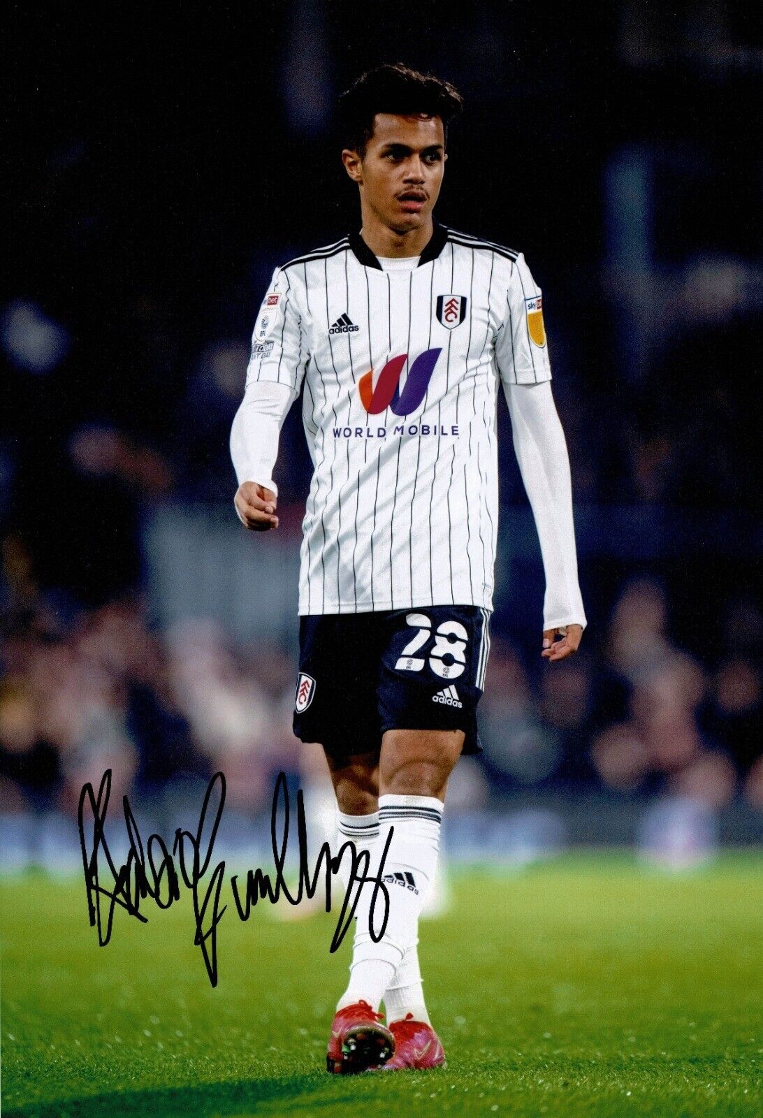 Fabio Carvalho Signed 12X8 Photo Poster painting Fulham F.C. Autograph AFTAL COA (1683)