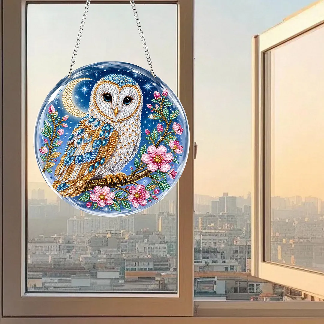 Diamond Painting Kit Moon Owl Sun Ornament for Adults 7.87x7.87in