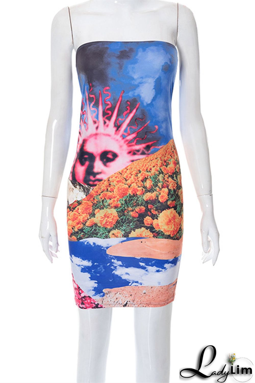 Multicolor Fashion Sexy Print Backless Strapless Sleeveless Dress